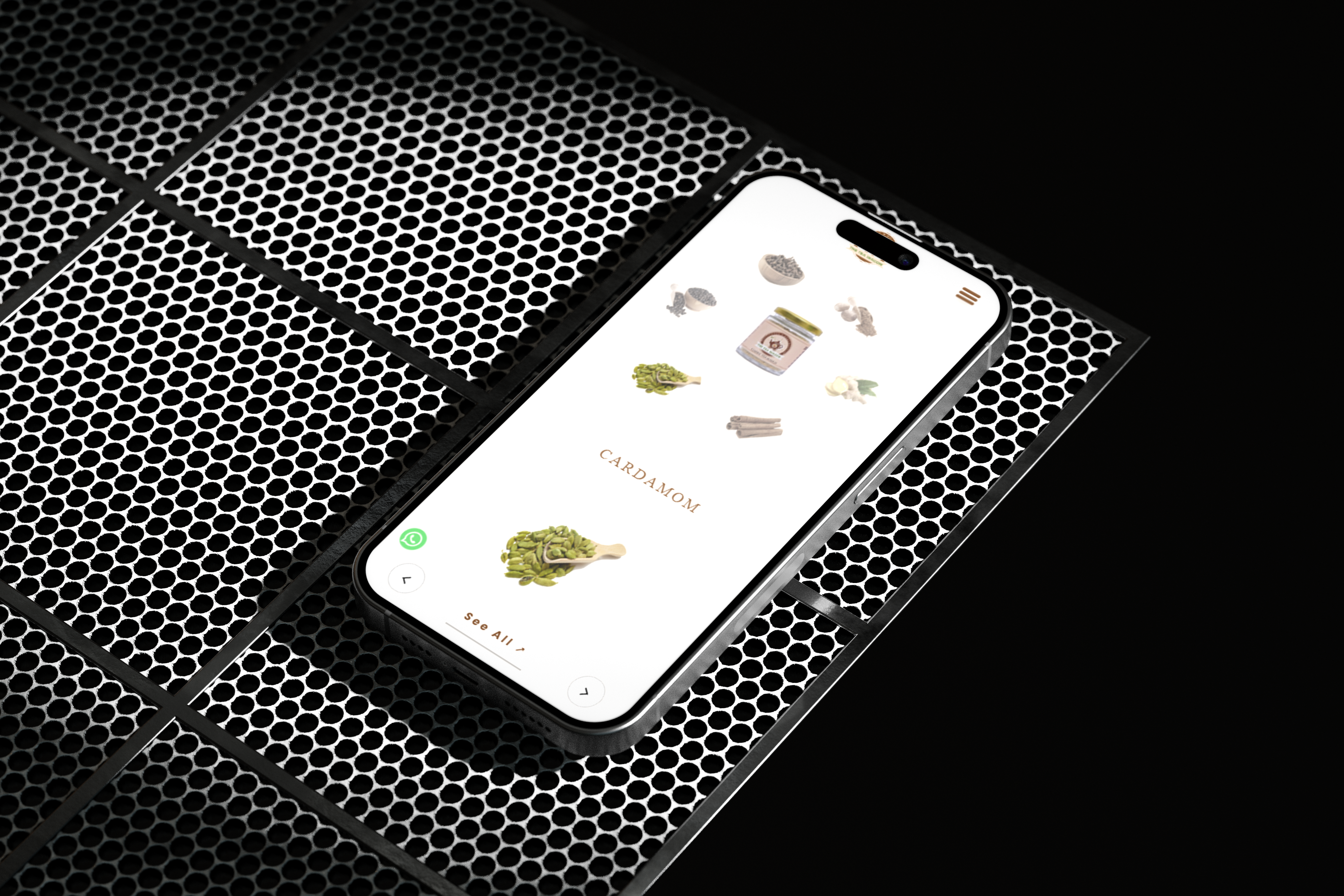 Portfolio Showcase Hover
